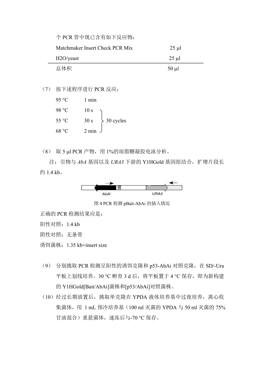 酵母单杂交实验步骤总结_第3页