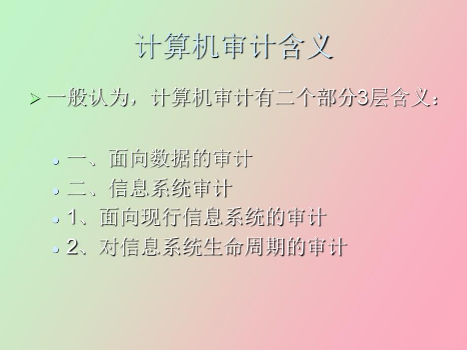 计算机审计应用实务培训_第4页