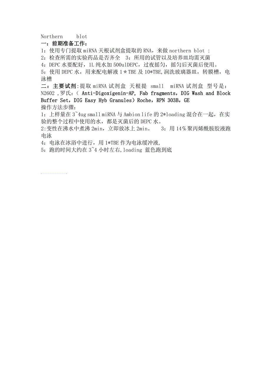 Northernblot前期准备_第1页