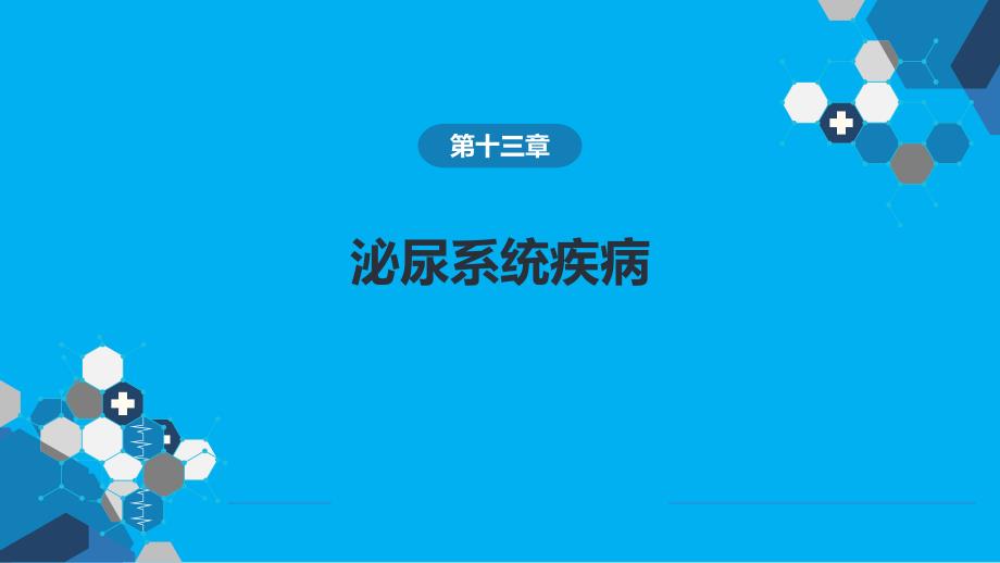 九版药理病理学第十三章泌尿系统疾病_第1页