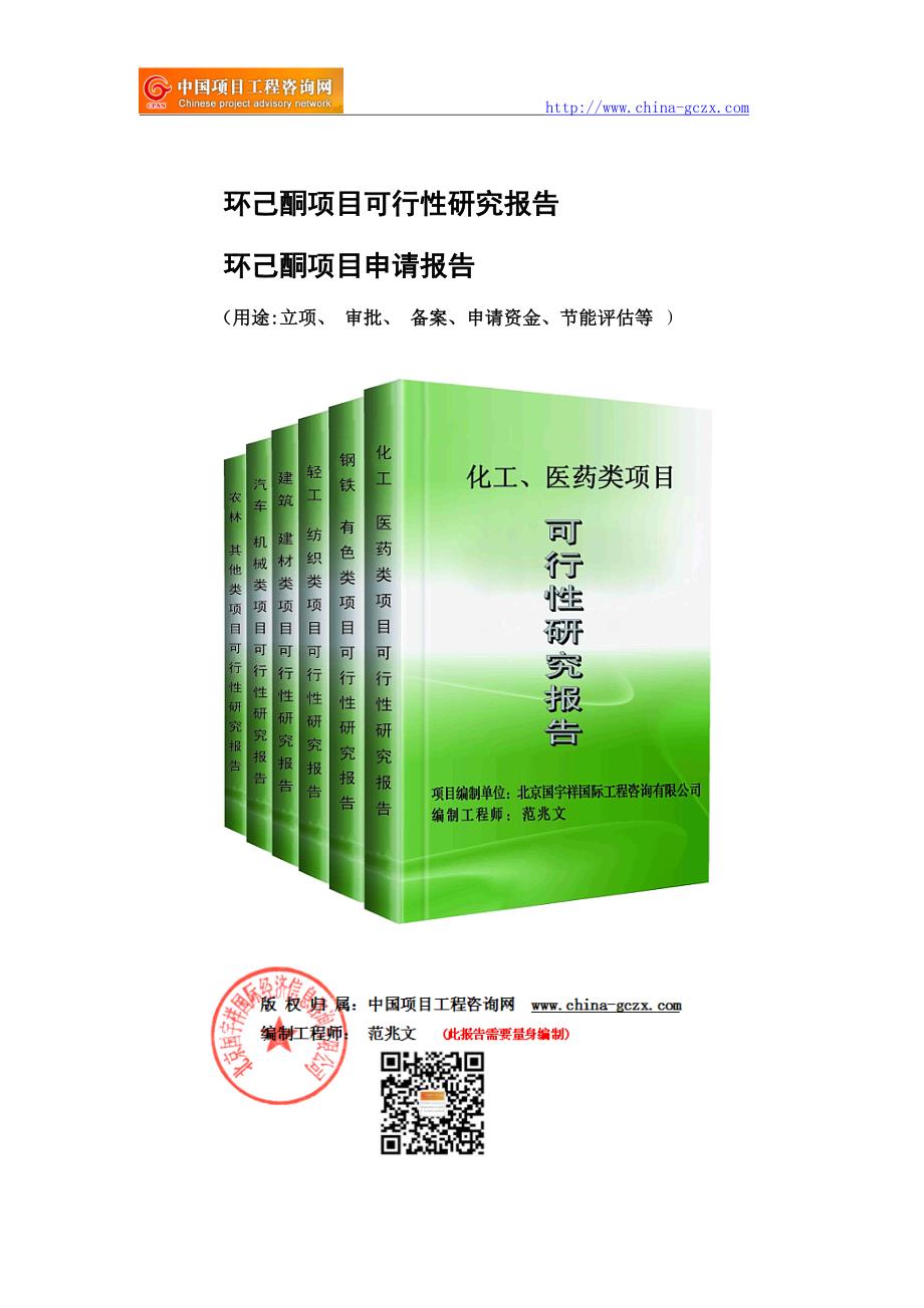 环己酮项目可行性研究报告（用于申请备案）_第1页