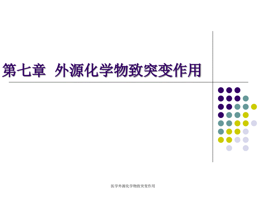 医学外源化学物致突变作用课件_第1页