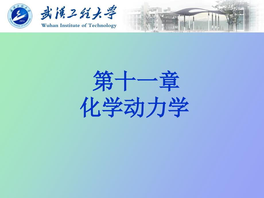 物理化学化学动力学_第1页