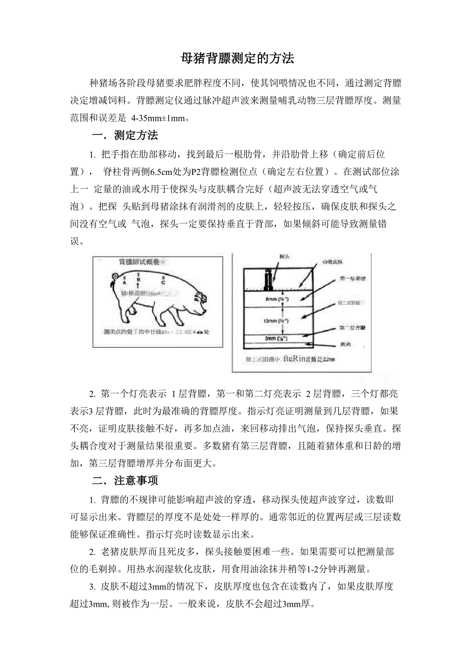 母猪背膘测定的方法_第1页