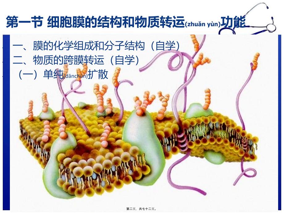 细胞的基本功能改课件_第2页