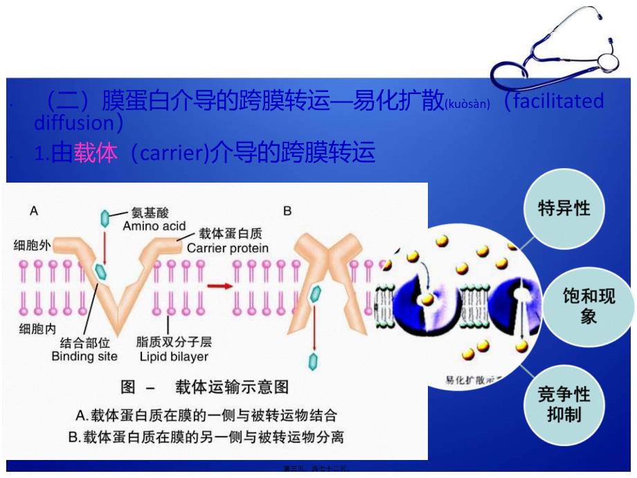 细胞的基本功能改课件_第3页