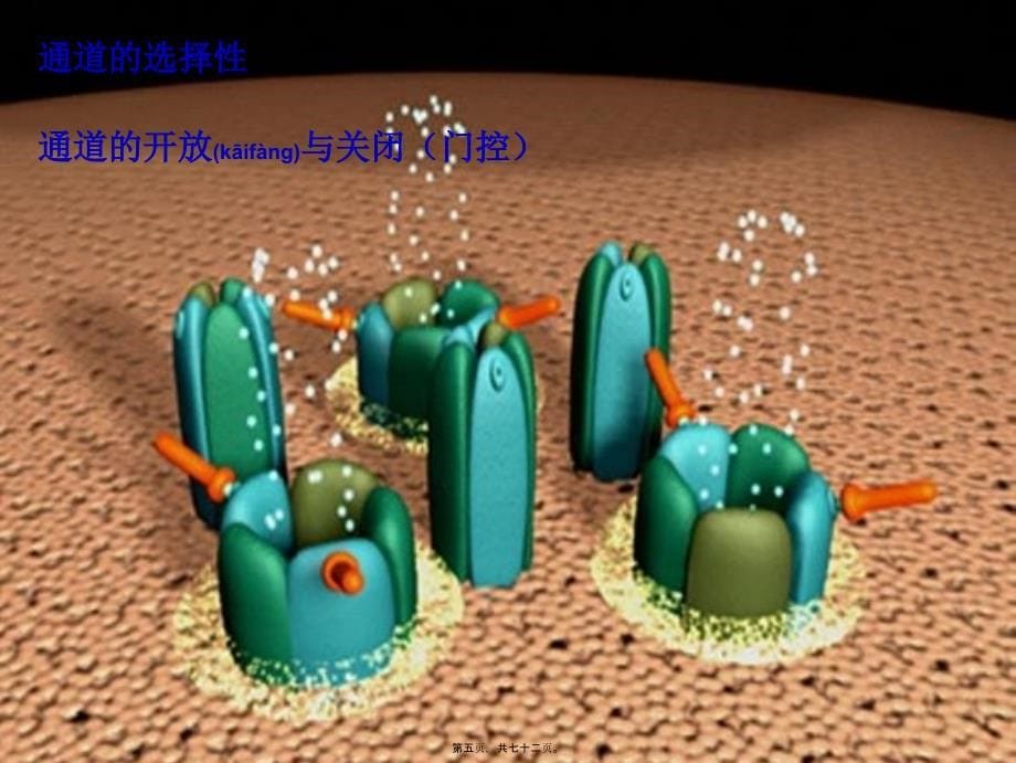 细胞的基本功能改课件_第5页