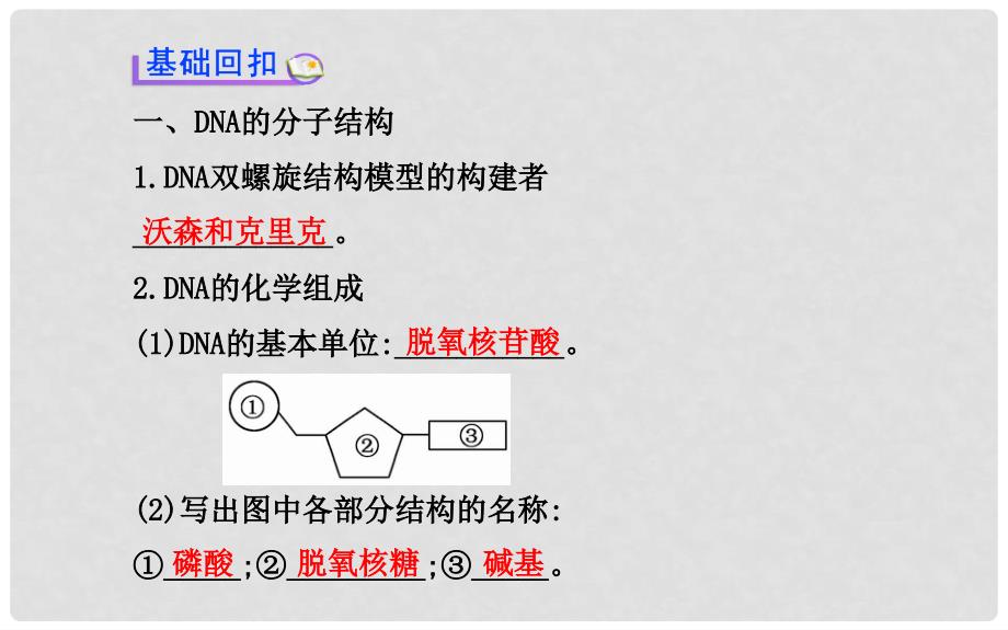 高中生物 第三章 第二、三节 DNA的分子结构和特点 遗传信息的传递课件 浙科版必修2_第3页