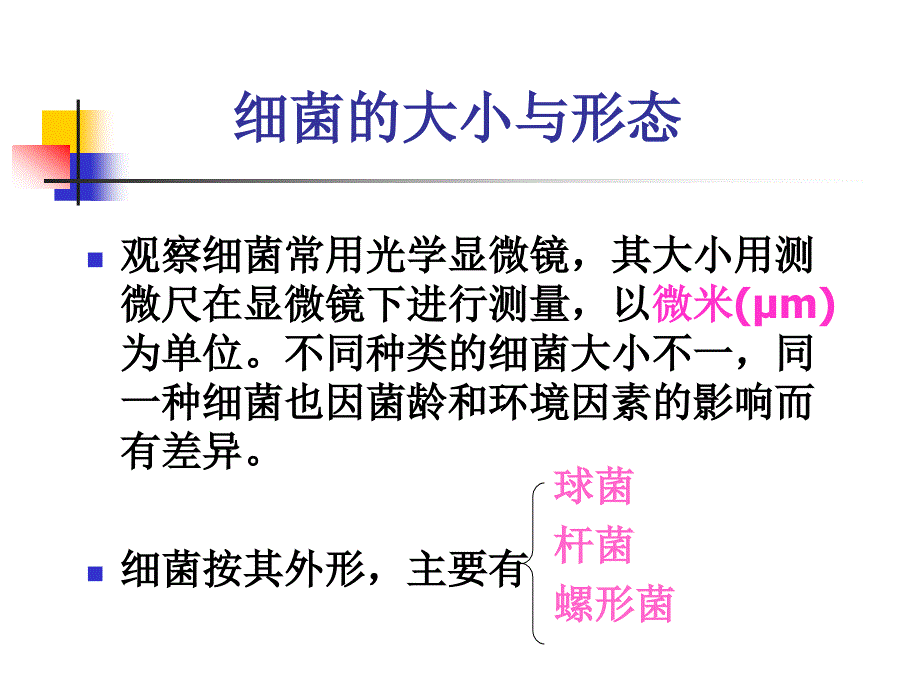 细菌的形态、染色_第3页