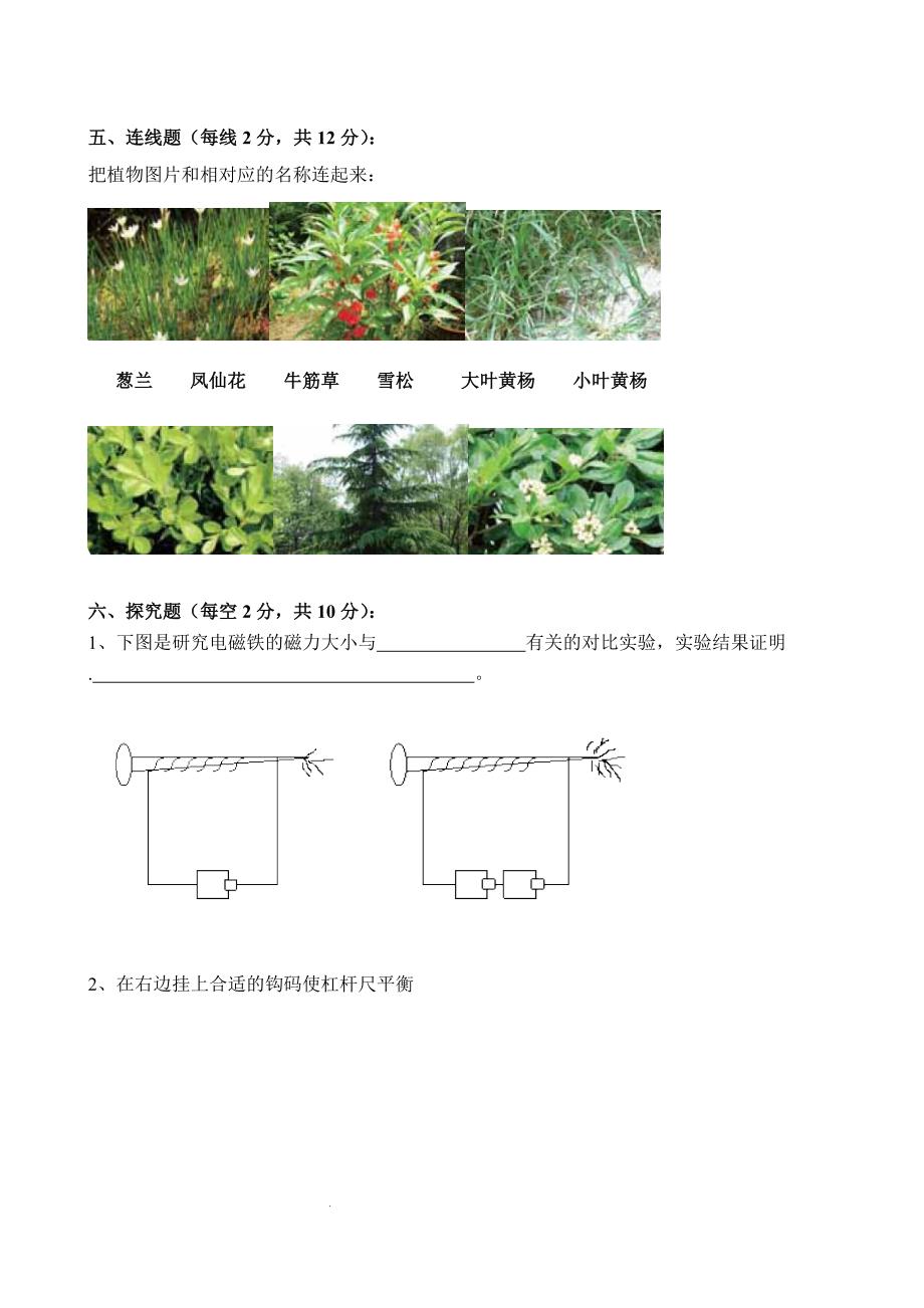 教科版六年级科学期末试卷_第3页