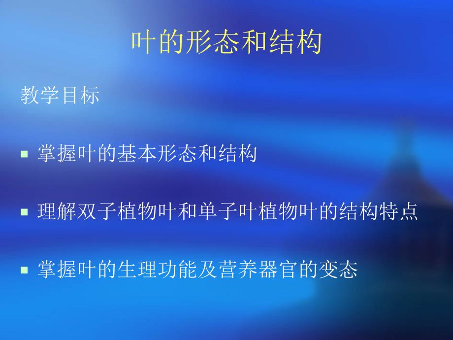 叶的形态和结构_第1页