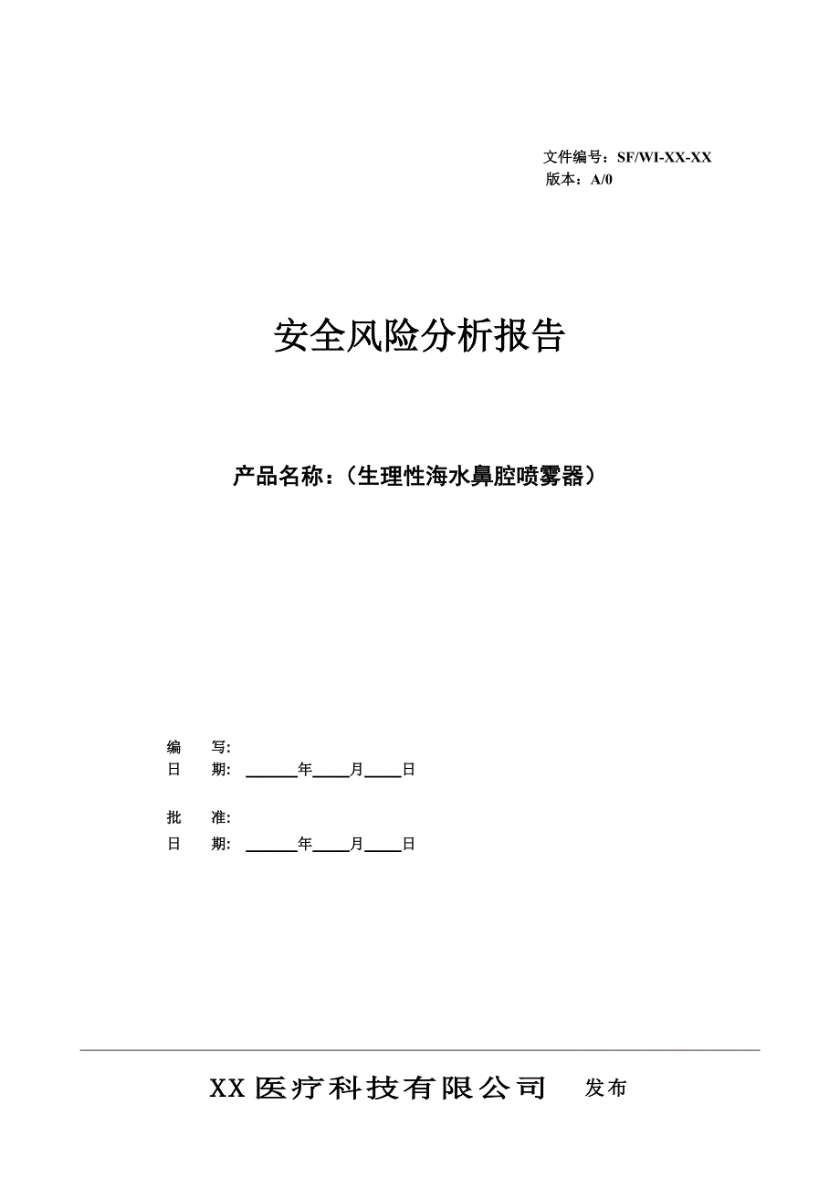 安全风险分析报告_第1页