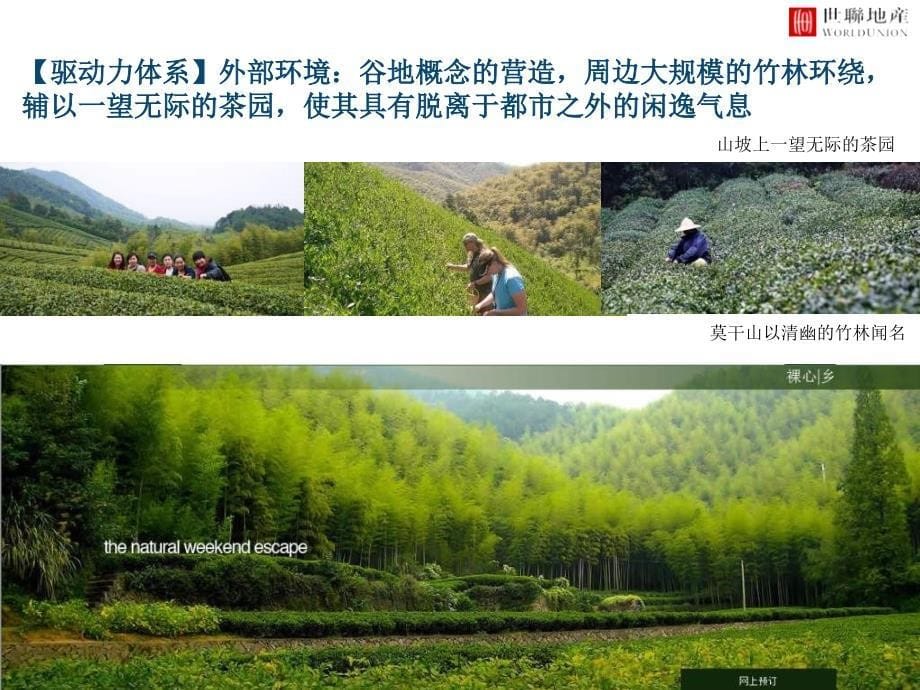 莫干山裸心谷度假村的案例研究_第5页