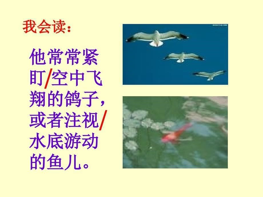 梅兰芳学艺 (3)_第5页