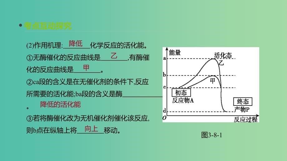 全国通用2020届高考生物优选大一轮复习第3单元细胞的能量供应和利用第8讲酶和ATP课件.ppt_第5页