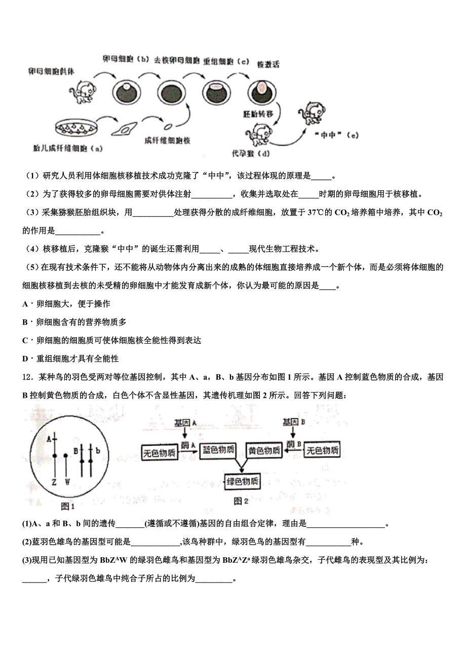 吉林省白城市第十四中学2023学年生物高二第二学期期末质量跟踪监视模拟试题（含解析）.doc_第4页