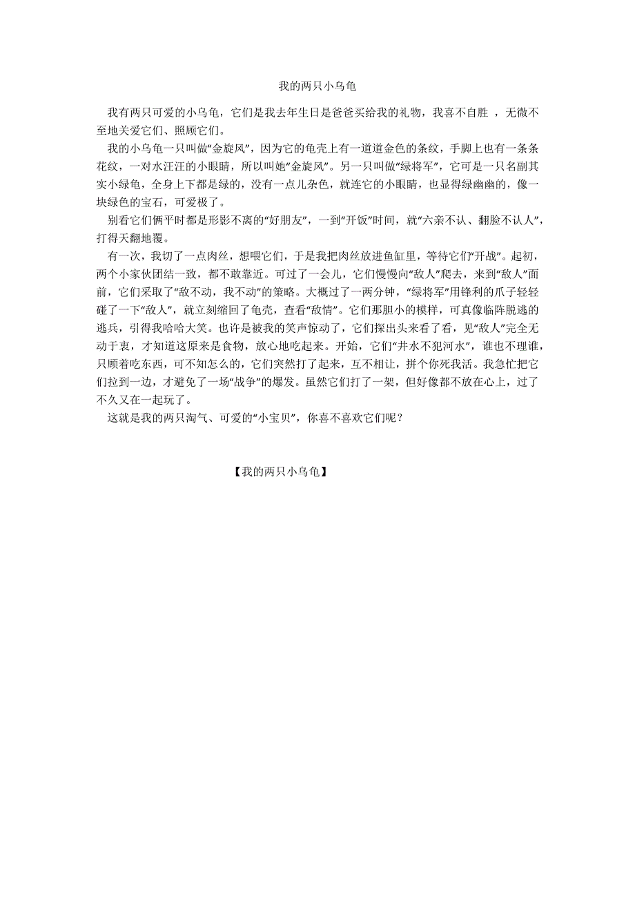我的两只小乌龟_第1页