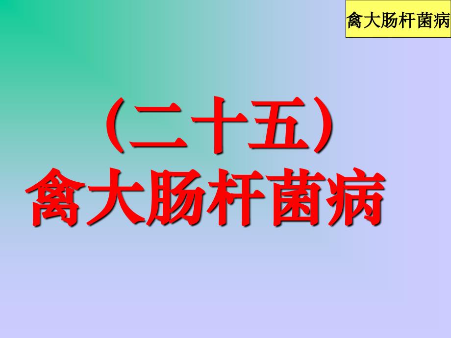 精品课件禽病学完整版25禽大肠杆菌病_第1页