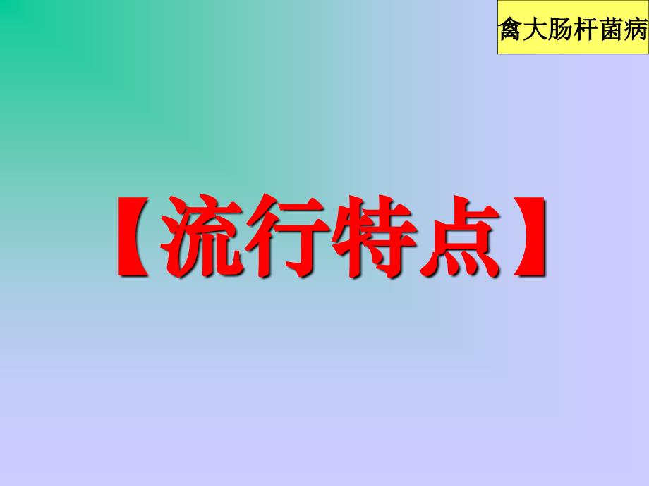 精品课件禽病学完整版25禽大肠杆菌病_第3页