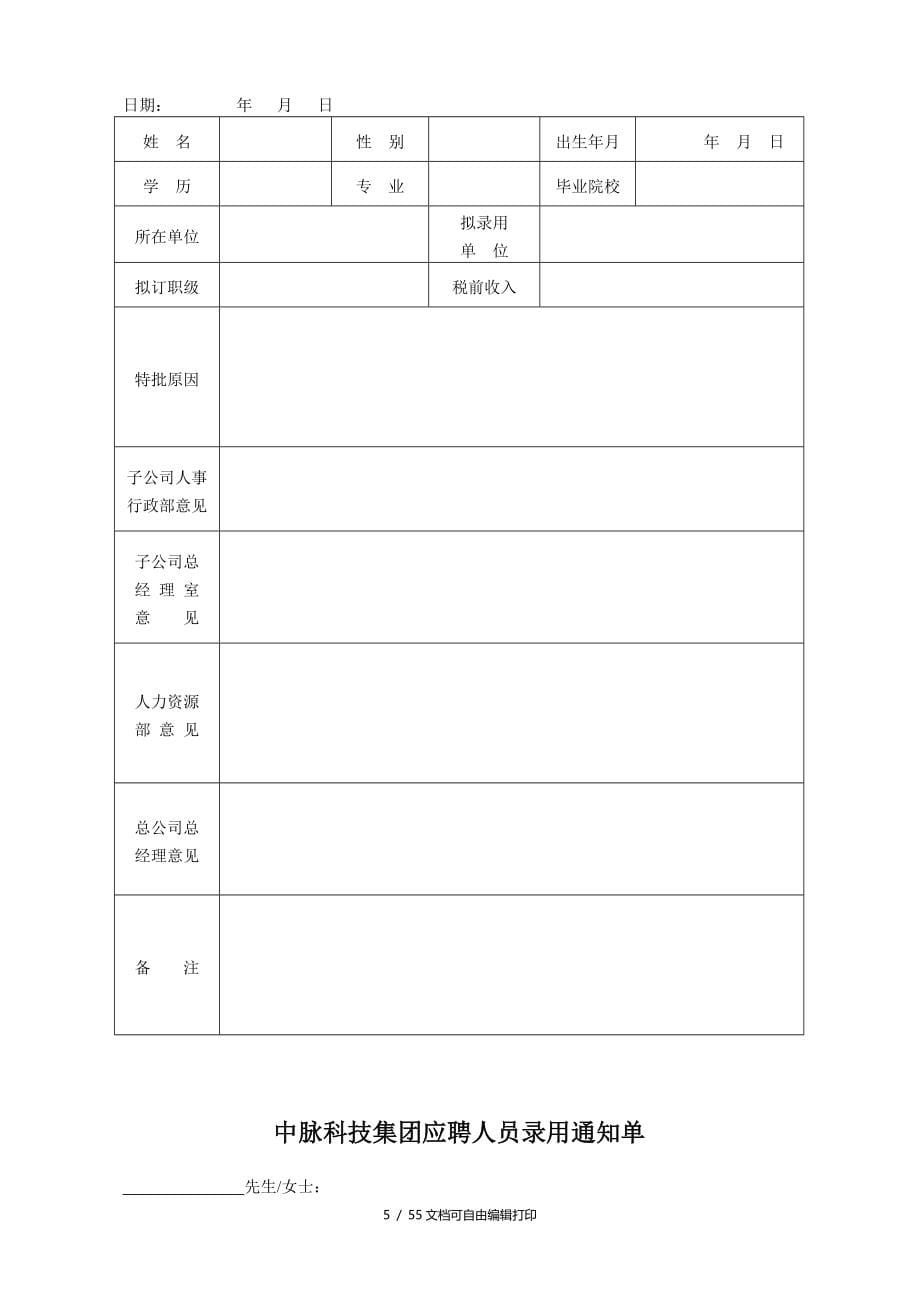 中脉科技集团人力资源管理图表_第5页