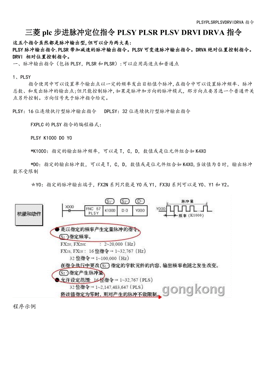 PLSYPLSRPLSVDRVIDRVA指令.doc_第1页