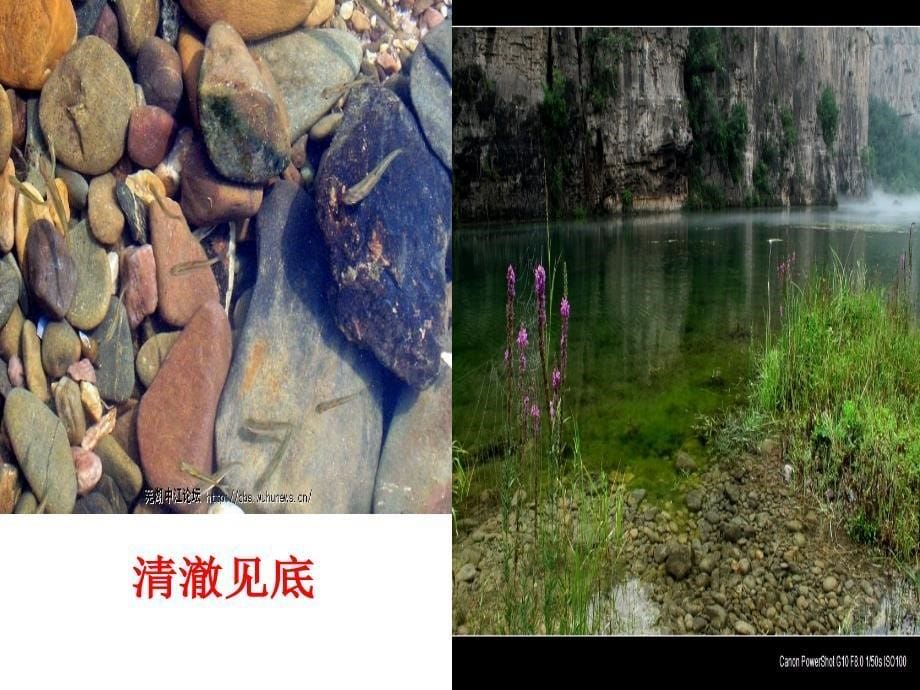 苏教版语文一年级上册《小河与青草》课件_第5页