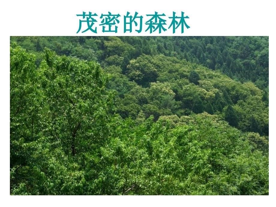 《望天门山 》课件_第5页