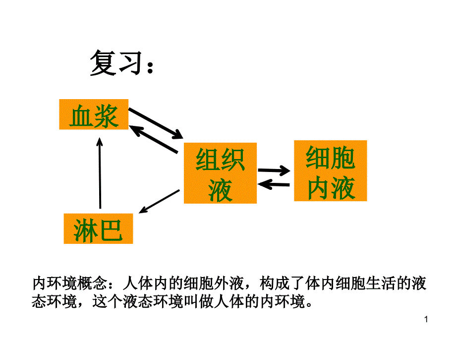 内环境与稳态重要性_第1页