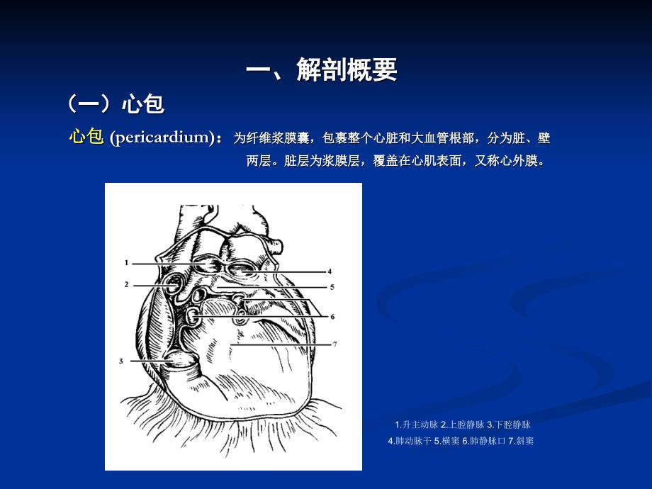 《心脏大血管超声》PPT课件_第3页