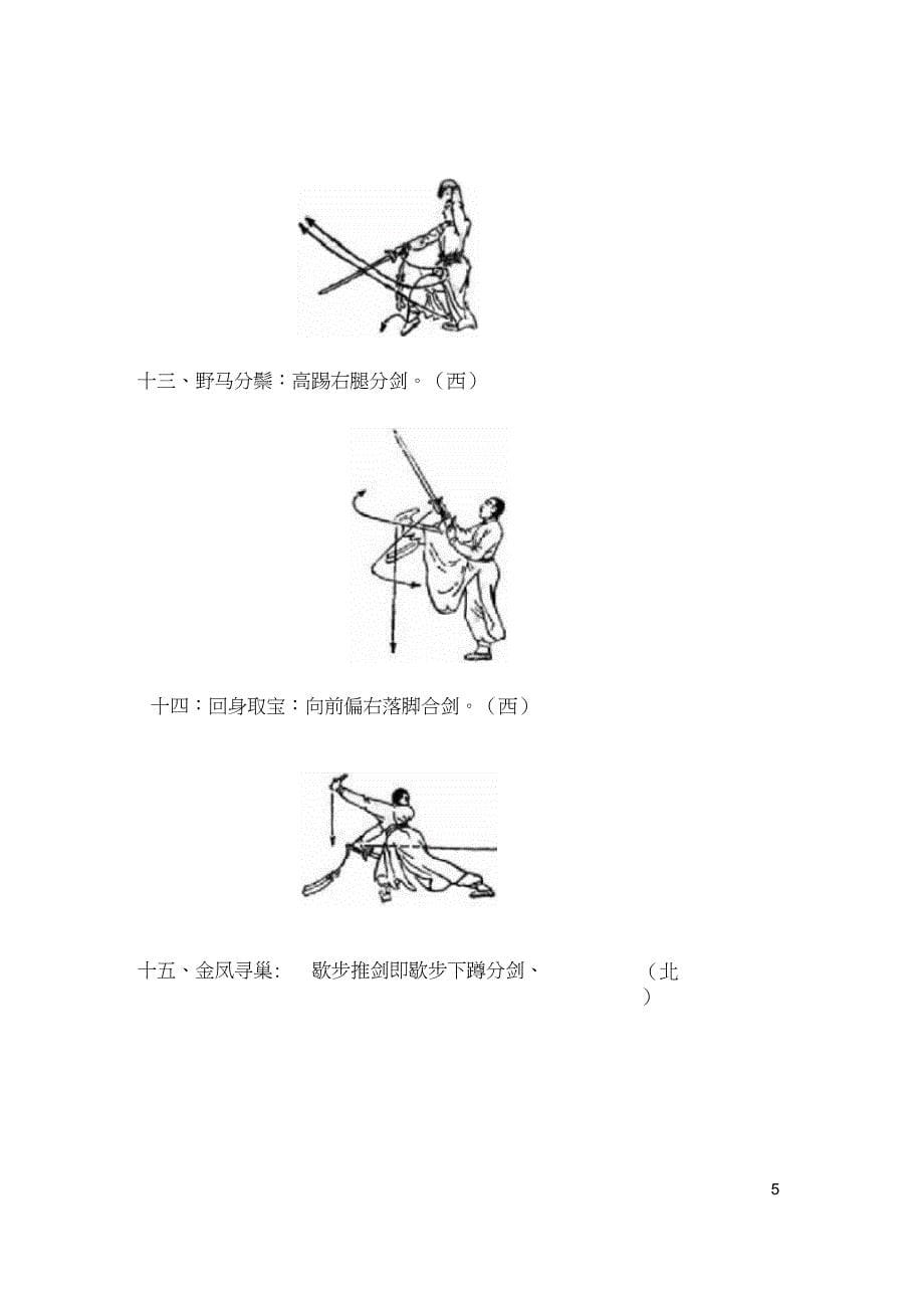 武当太乙玄门剑动作图解._第5页