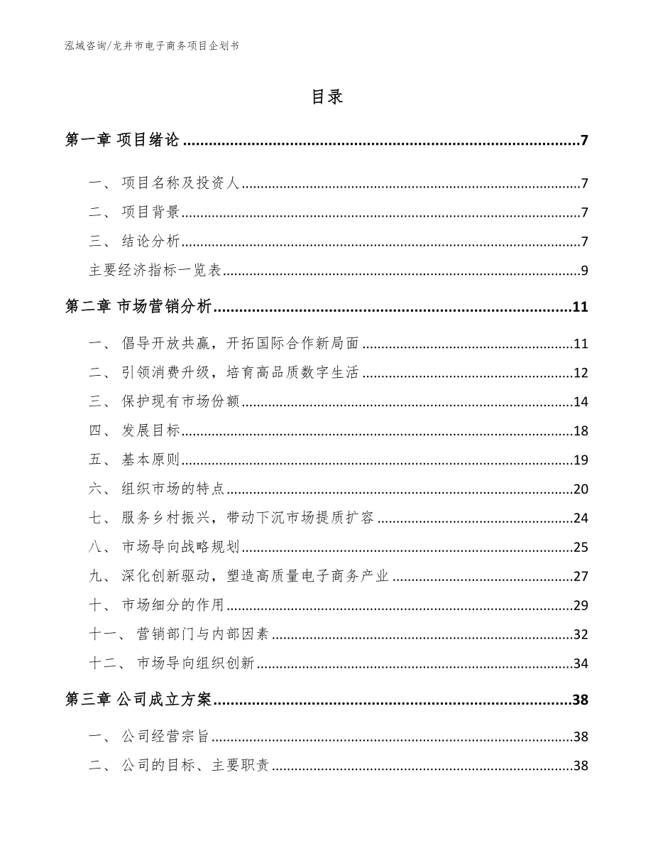 龙井市电子商务项目企划书_第2页