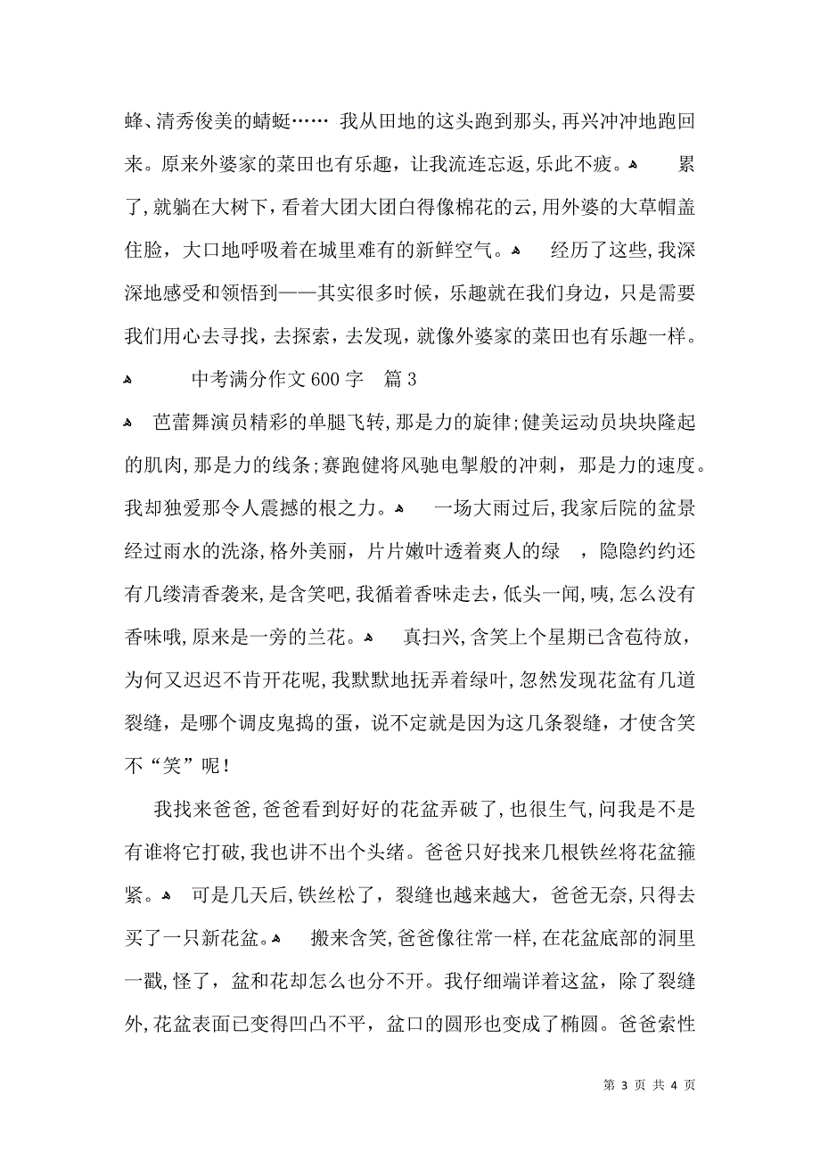 关于中考满分作文600字3篇_第3页