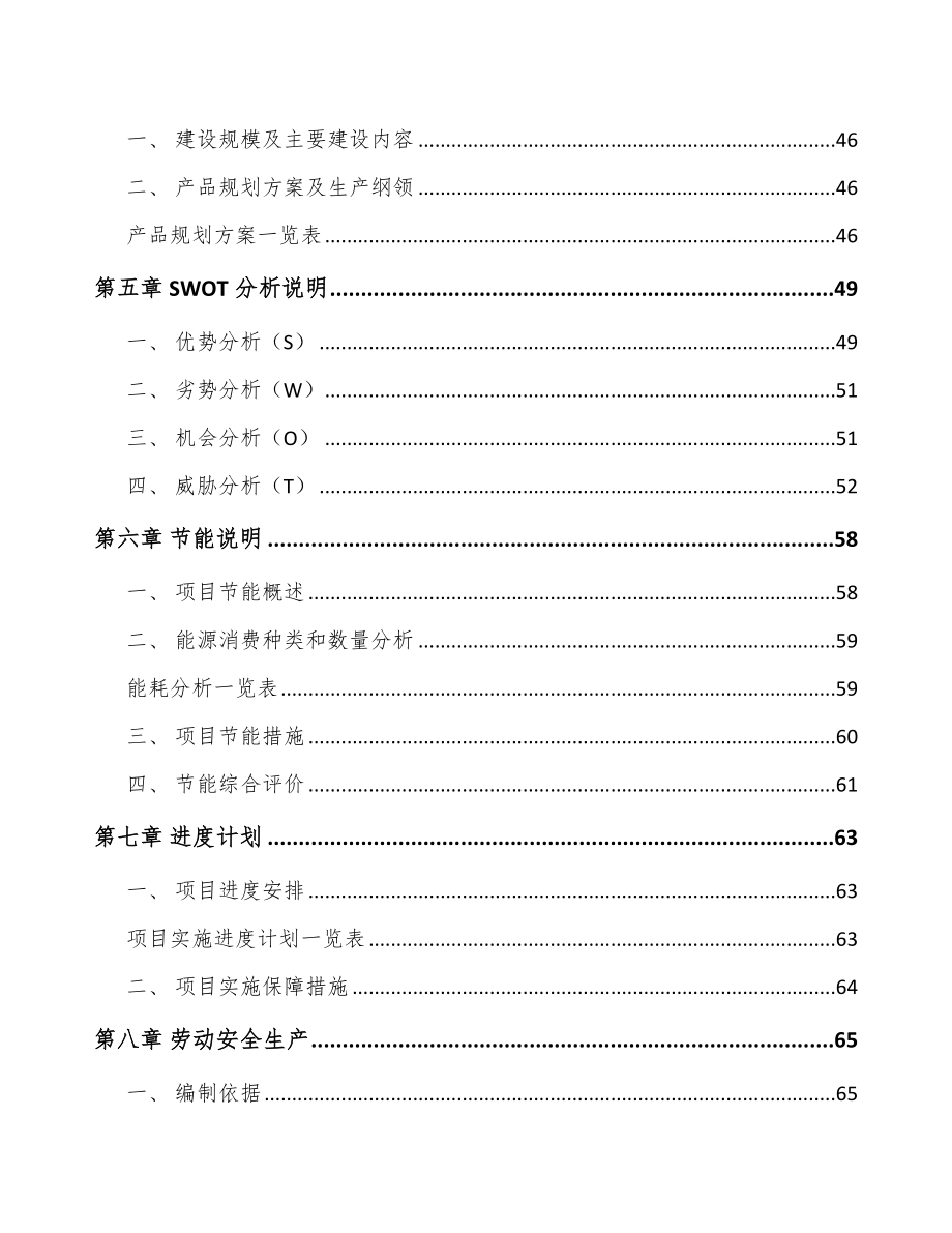 南昌车侧装饰系统产品项目可行性研究报告_第2页