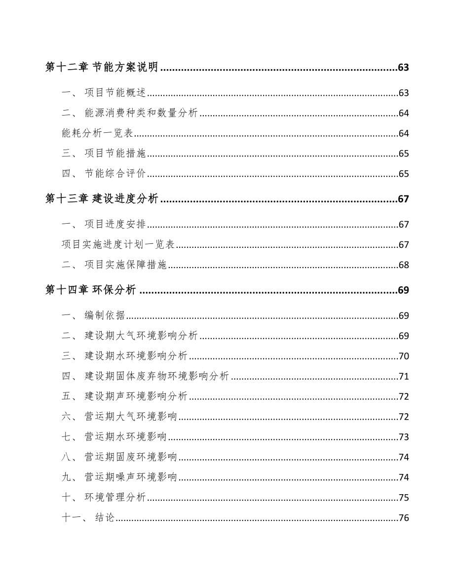 环链手扳葫芦项目可行性研究报告_第5页