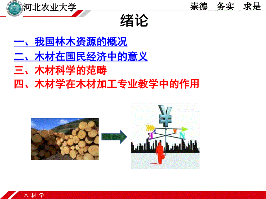 《木质材料学》PPT课件_第4页