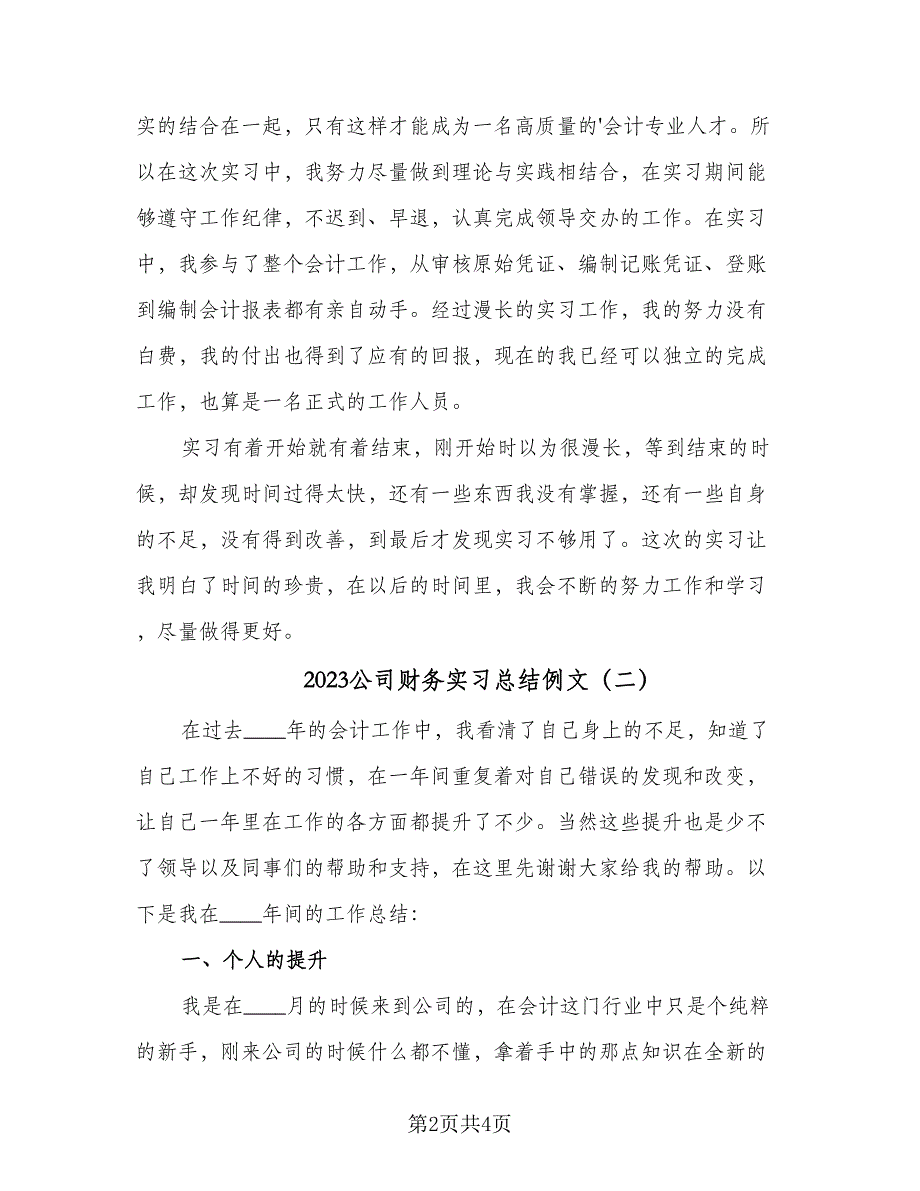 2023公司财务实习总结例文（2篇）.doc_第2页