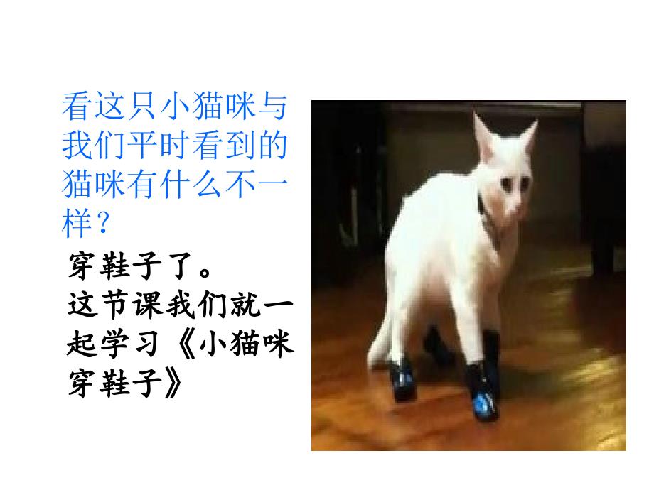 小猫穿鞋子(北师大版_第3页