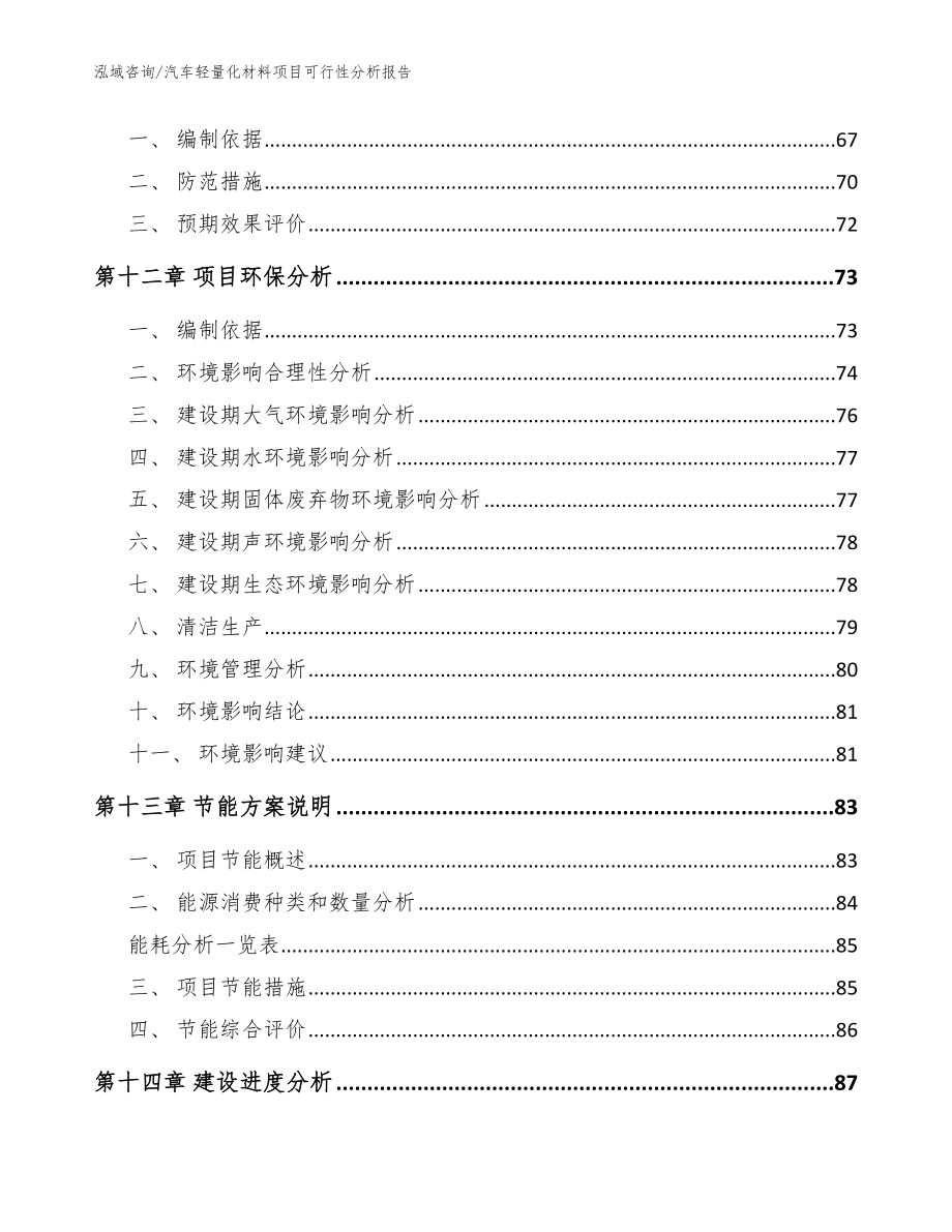 汽车轻量化材料项目可行性分析报告【模板范文】_第5页