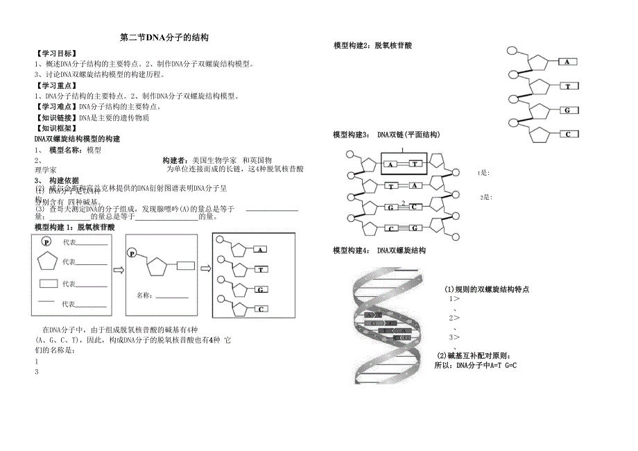 DNA分子结构的导学案_第1页