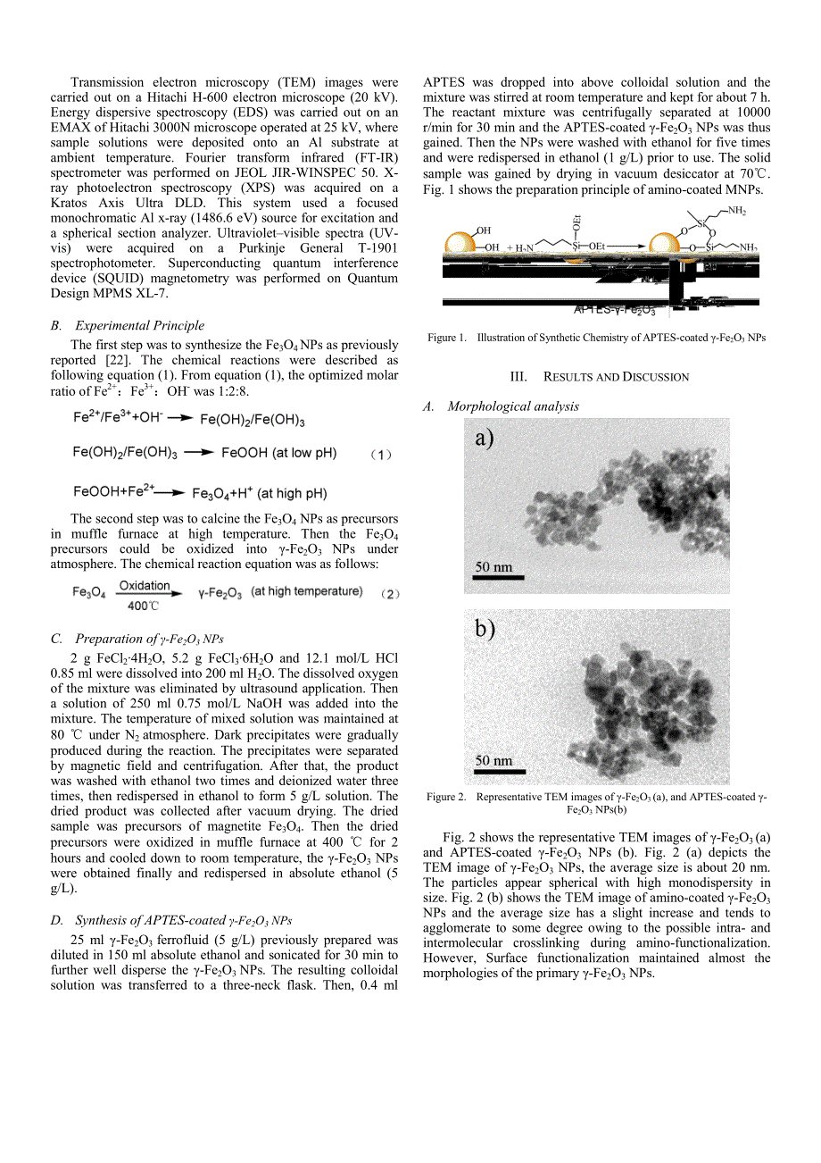 外文翻译--Preparation and Characterization of Amino-coated Maghemite Nanoparticles_第2页