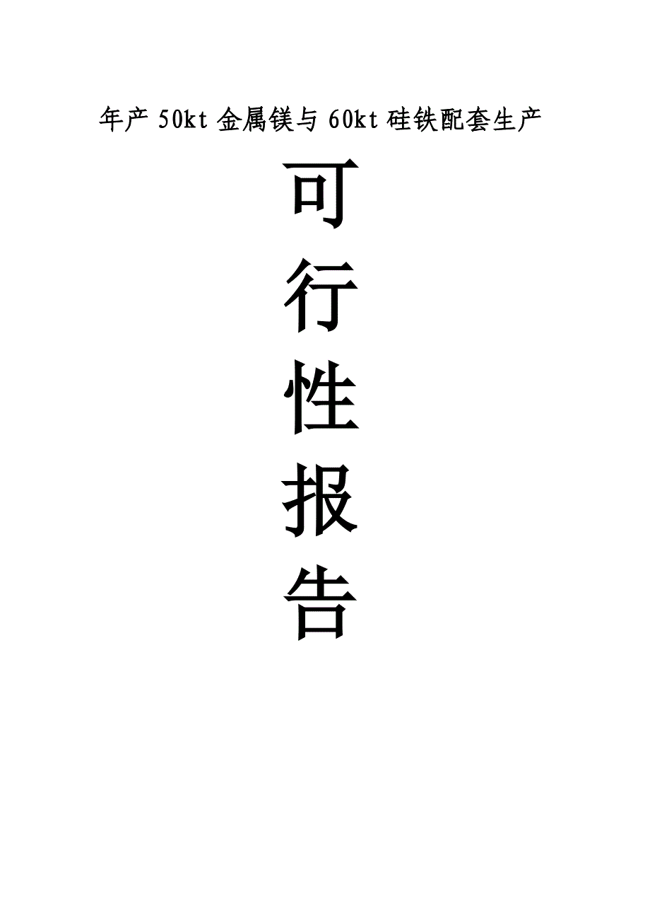 年产50kt金属镁与60kt硅铁配套生产项目可行性研究报告.doc_第1页