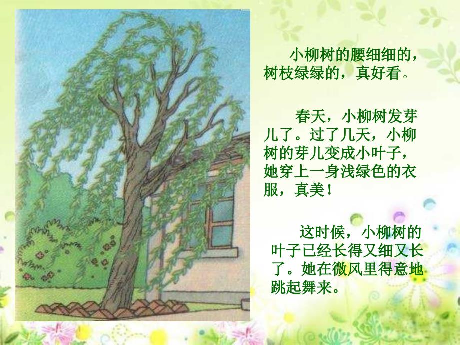 人教版小学语文二年级上册《小柳树和小枣树》PPT课件_第2页