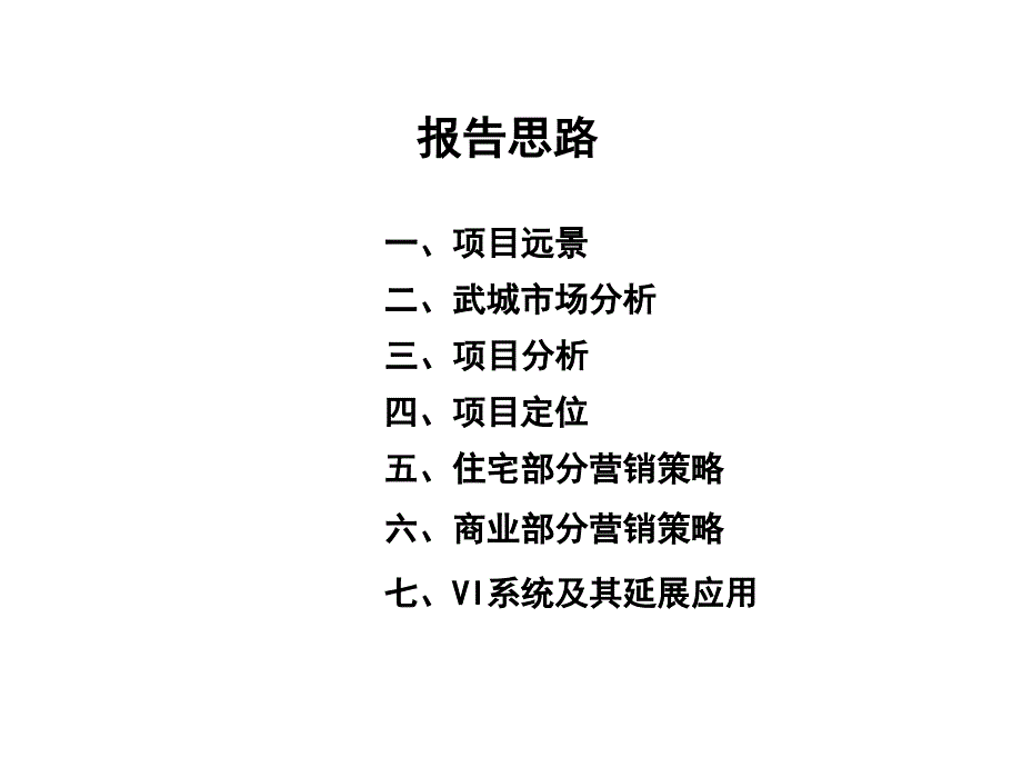 山东金马国际商贸城项目营销策划报告_第2页