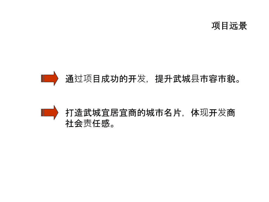 山东金马国际商贸城项目营销策划报告_第3页