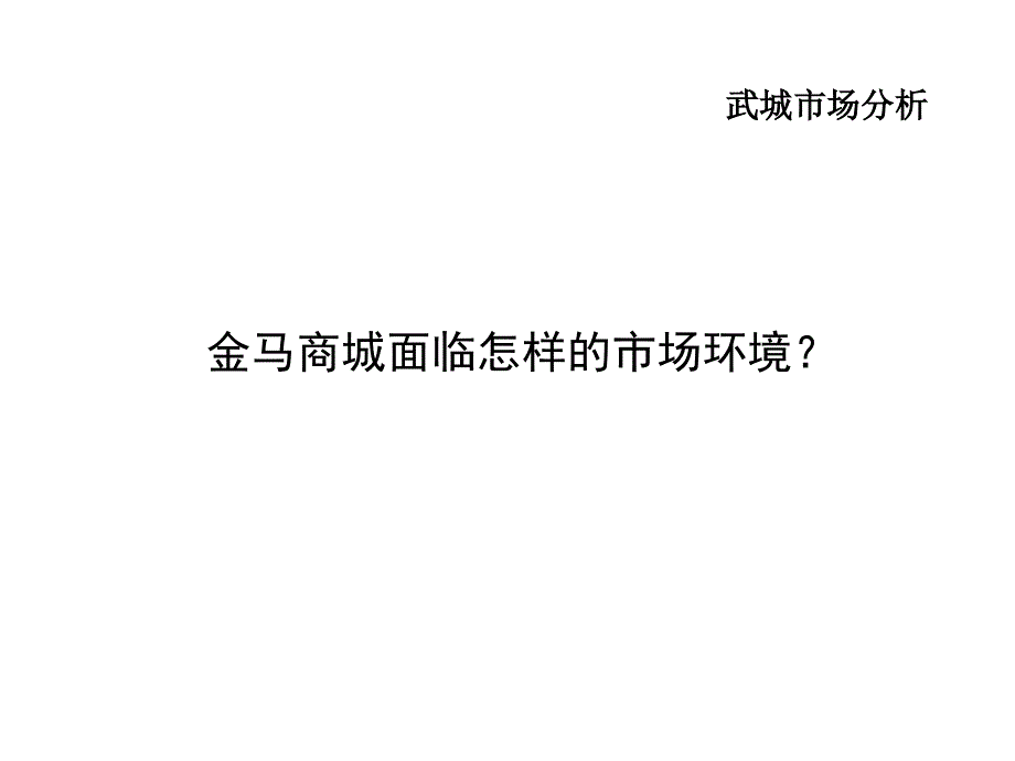 山东金马国际商贸城项目营销策划报告_第4页