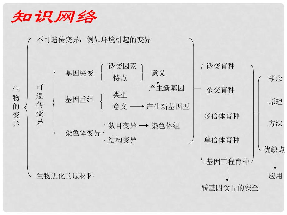 高三生物一轮复习知识网络汇总 第9单元 生物的变异课件_第2页