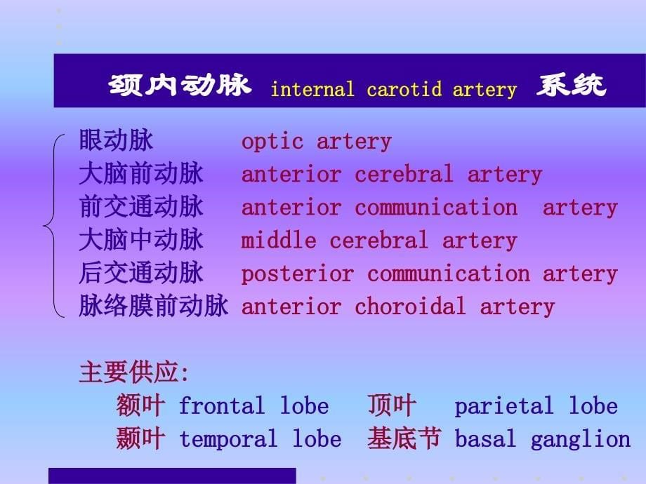 病理学英文版教学课件：脑血管疾病_第5页