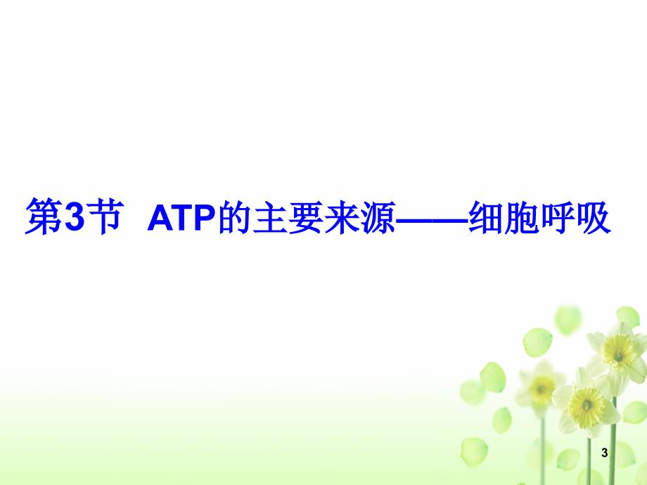 ATP的主要来源细胞呼吸曹正琼_第3页