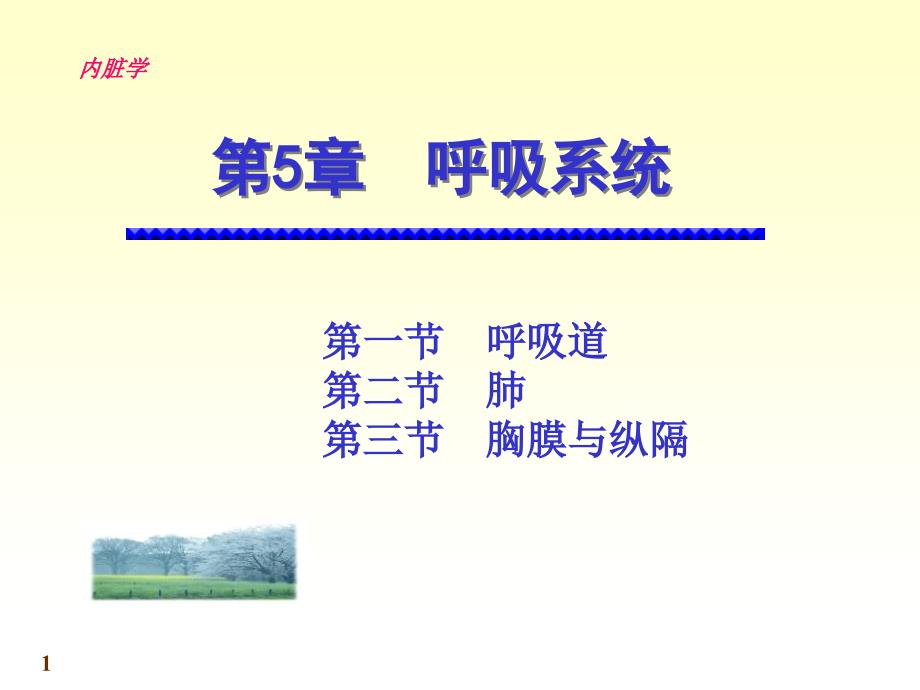 系统解剖学呼吸系统ppt课件.ppt_第1页