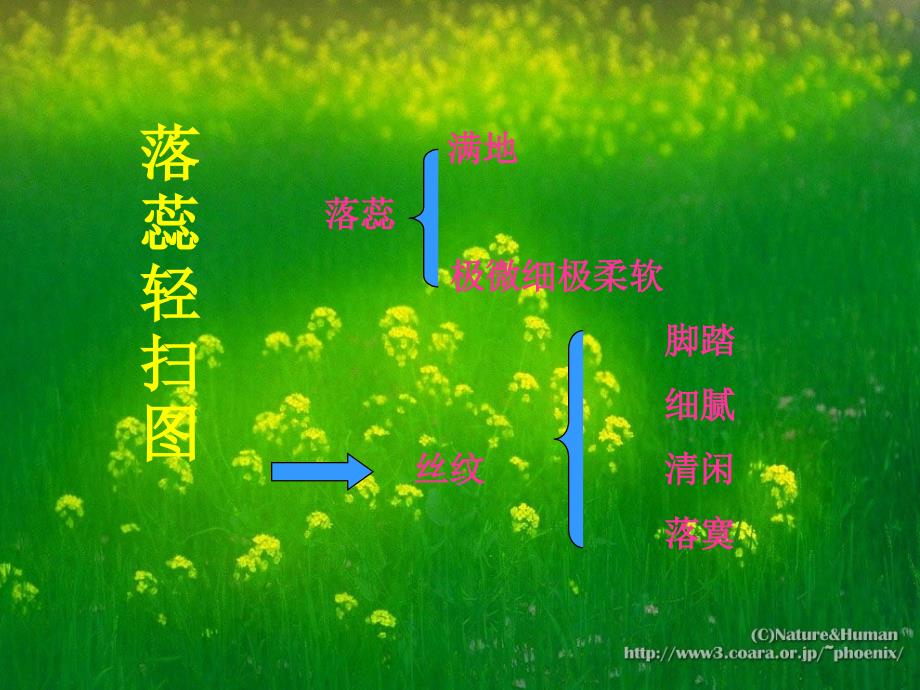 意象的美学赏析_第4页